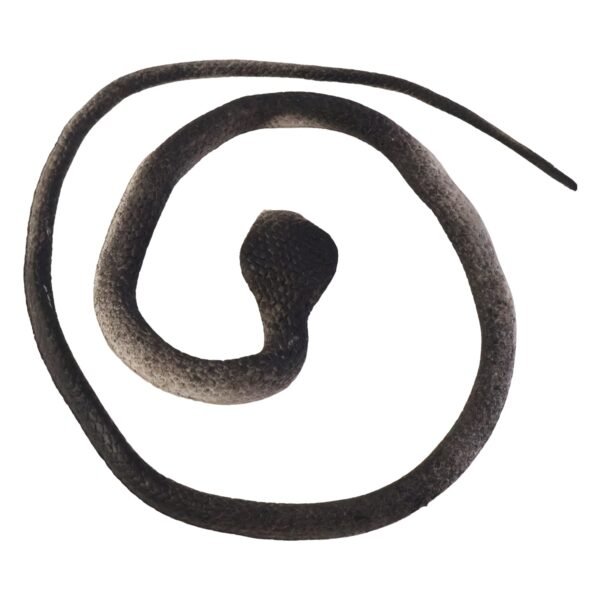 pranksnaketoy-04.jpg Realistic Dummy Snake Toy for Kids Pranks (1 Pc)