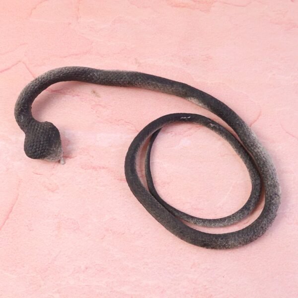 pranksnaketoy-live.jpg Realistic Dummy Snake Toy for Kids Pranks (1 Pc)