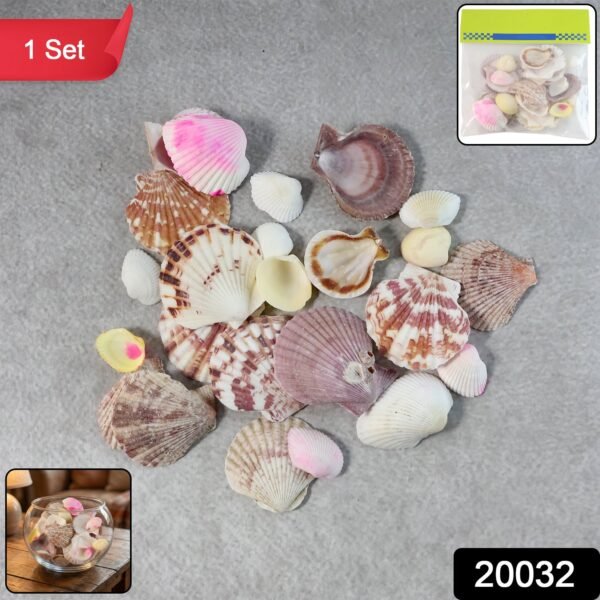 Natural Decorative Sea Shells Set (1 Set)