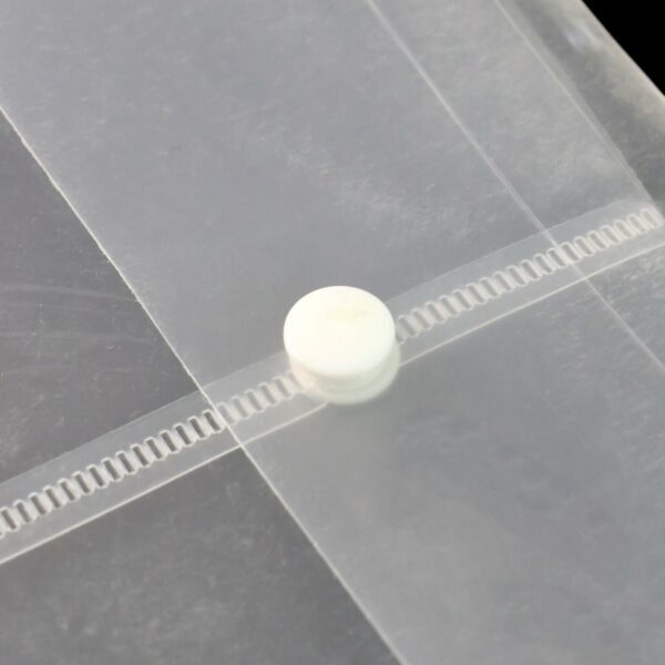 Mix Design Transparent Document Folder – A4 Size Clear File Protector (1 Pc)